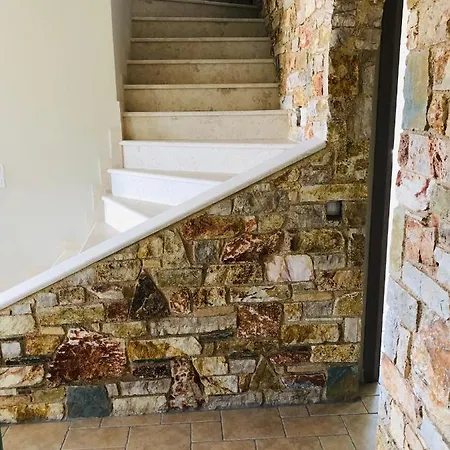 Petries Relaxed Holidays *